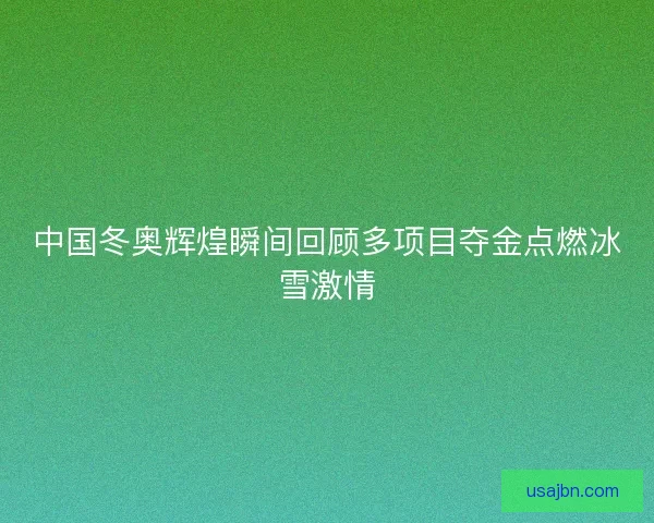 中国冬奥辉煌瞬间回顾多项目夺金点燃冰雪激情