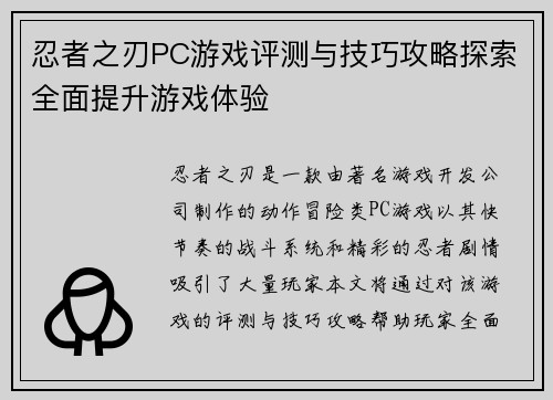 忍者之刃PC游戏评测与技巧攻略探索全面提升游戏体验